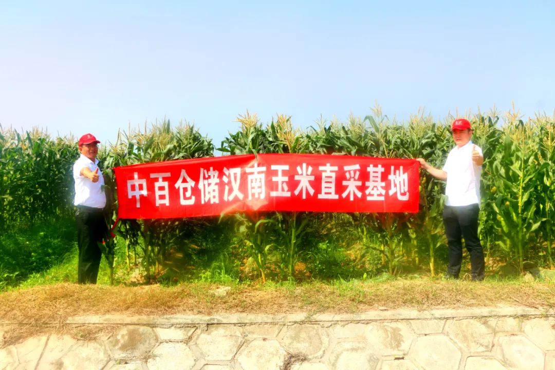 ʱ(й)ǲ!
